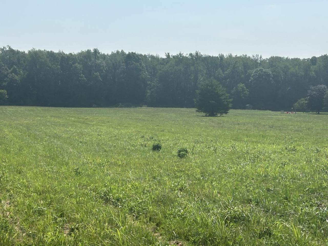 62619 Cr 365 Road - Photo 1