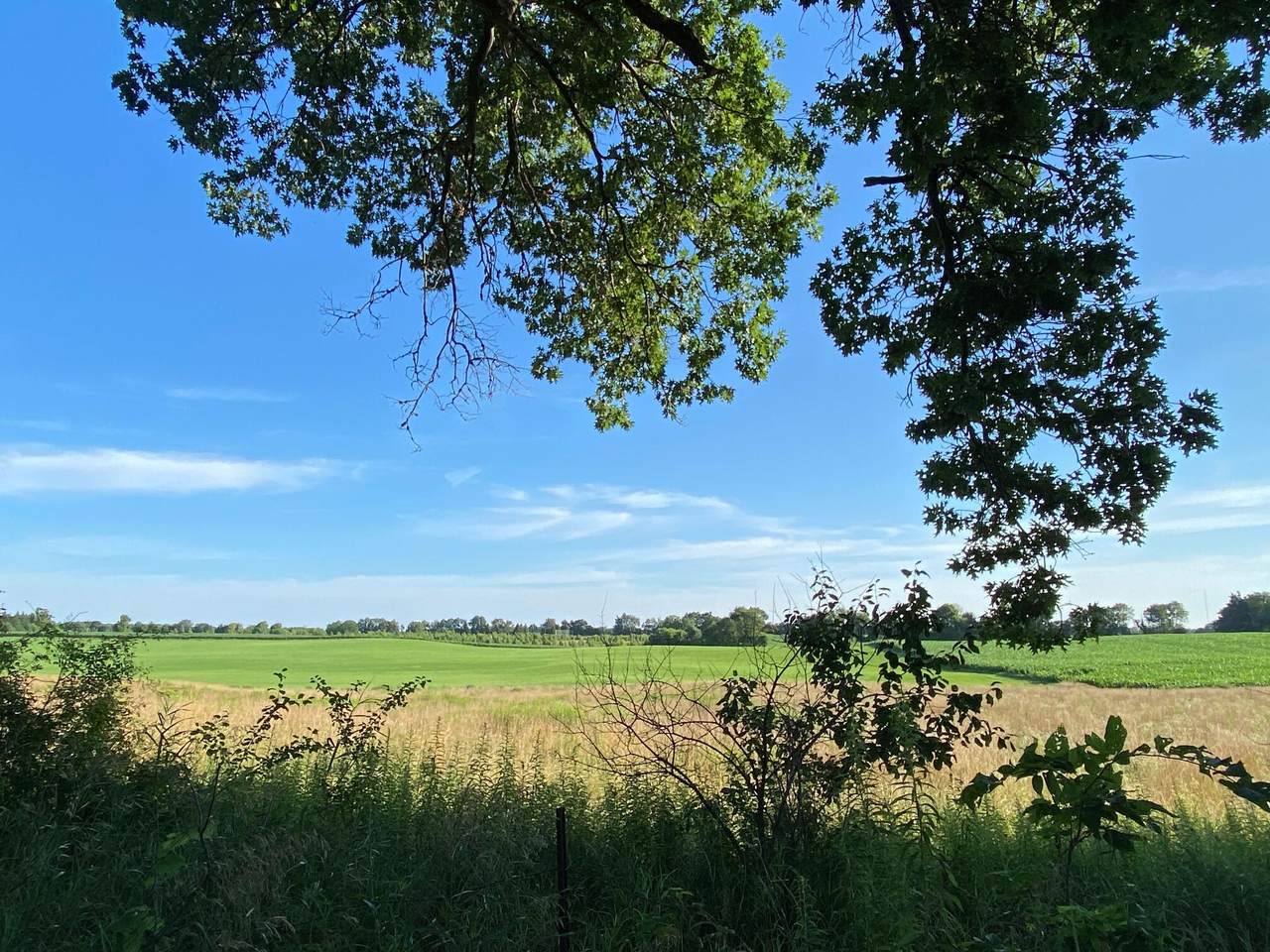 9341 Ef Avenue - Photo 1