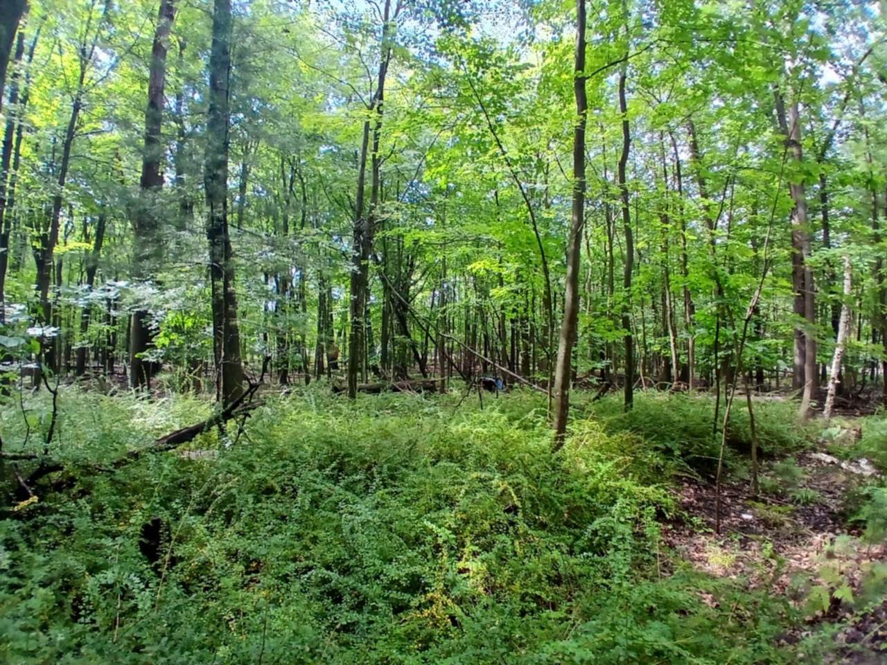 https://bt-photos.global.ssl.fastly.net/swmich/1280_boomver_1_25040389-2.jpg