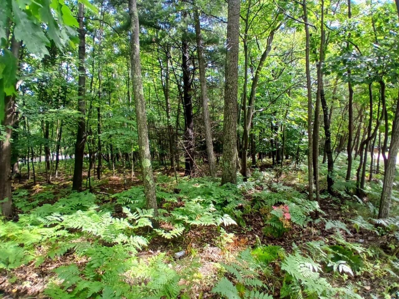 https://bt-photos.global.ssl.fastly.net/swmich/1280_boomver_1_25040389-2.jpg
