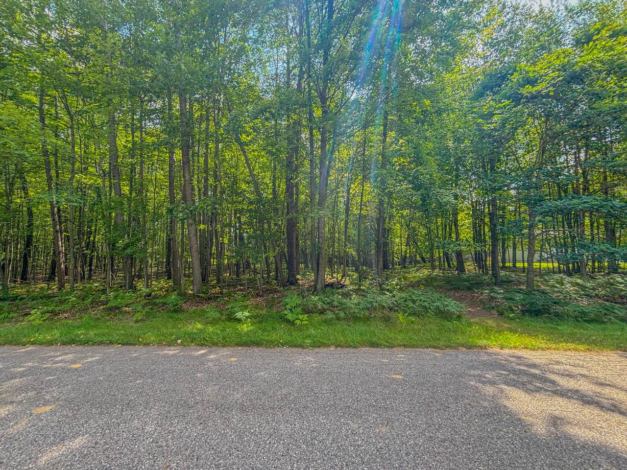 9385 Clubhouse Drive - Photo 1