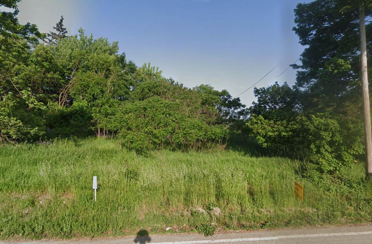 V/L Delmar Rd - Photo 1