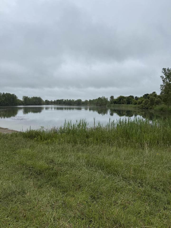 6971 Hartel Road - Photo 1