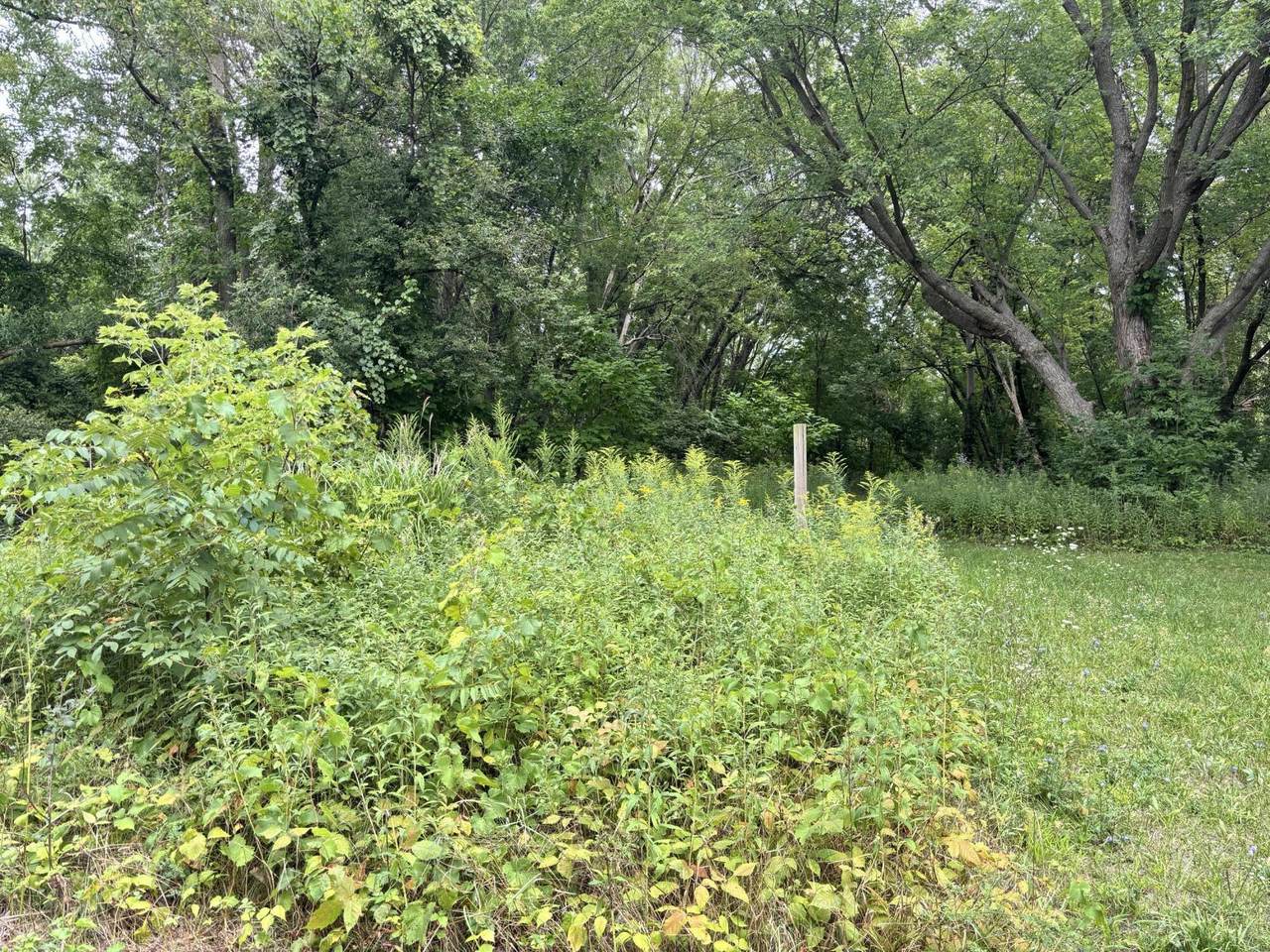 3661 Willow Drive - Photo 1