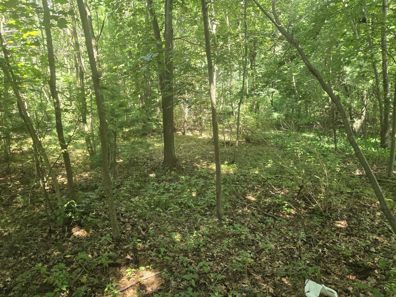 VL Whitehall Road - Photo 1