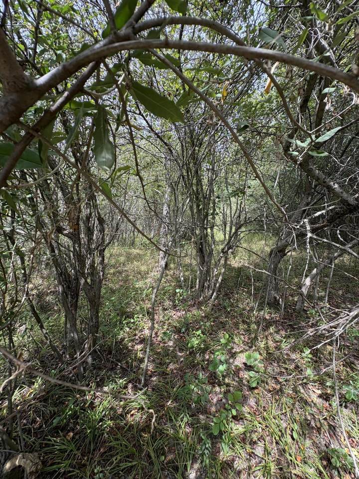  Lake Miramachi - Photo 1