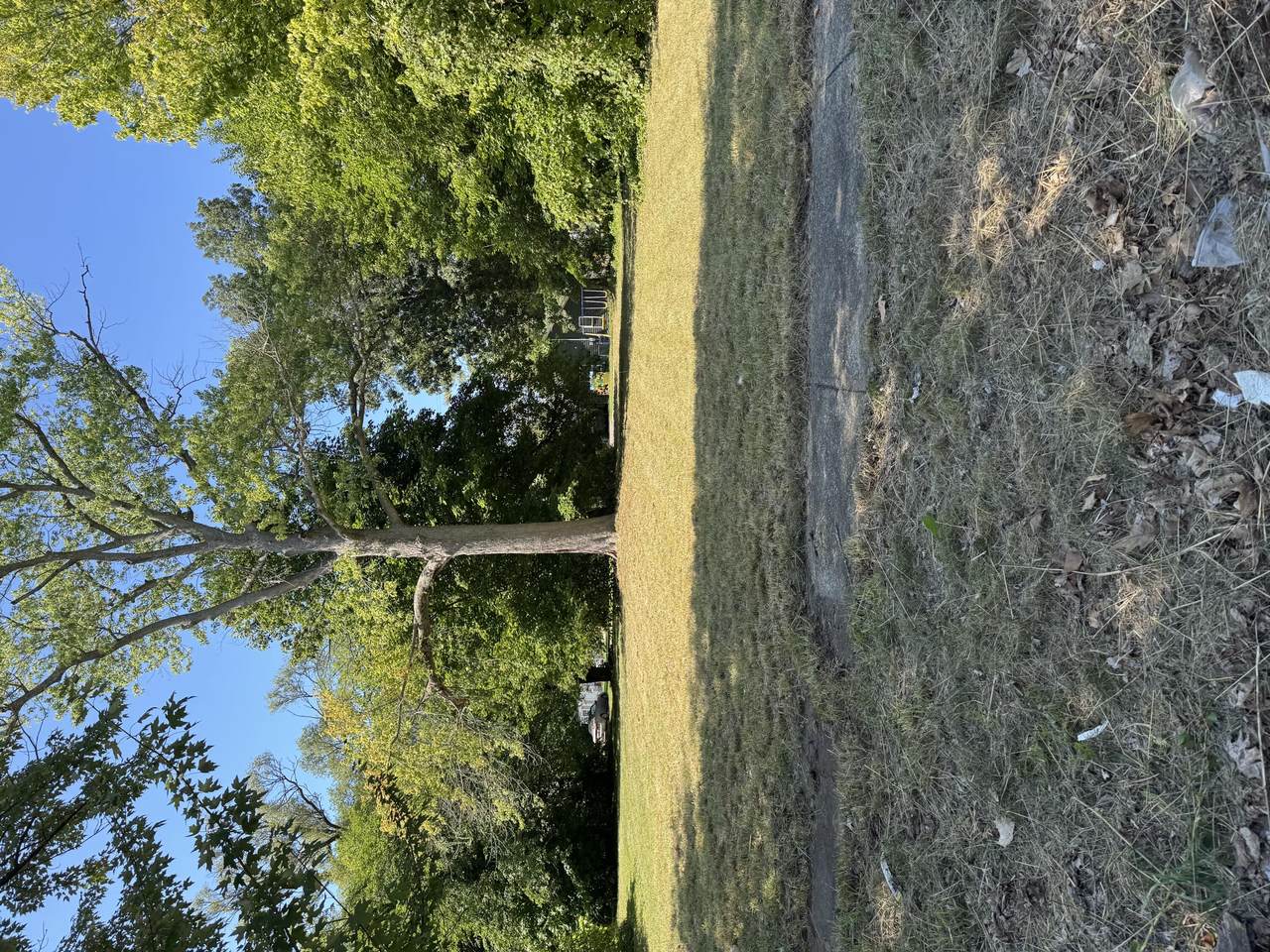 730 Superior Street - Photo 1