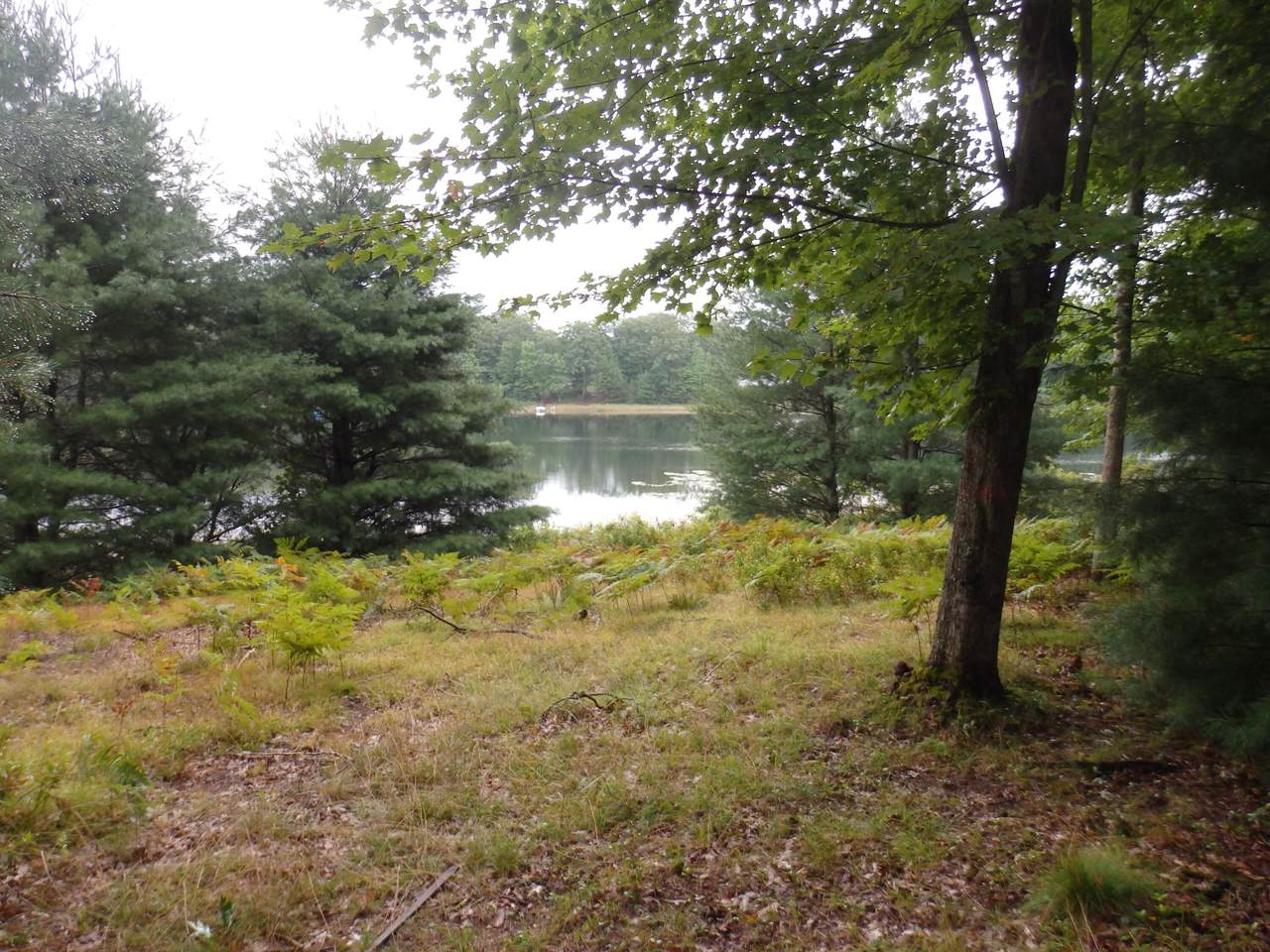  Shingle Mill Way - Photo 1