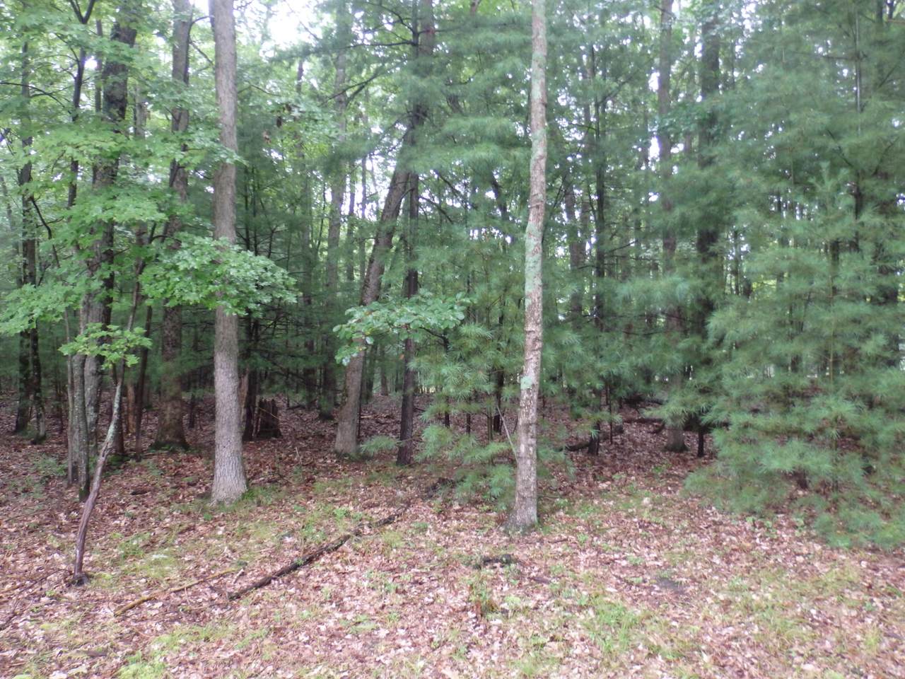 https://bt-photos.global.ssl.fastly.net/swmich/1280_boomver_1_25044983-2.jpg