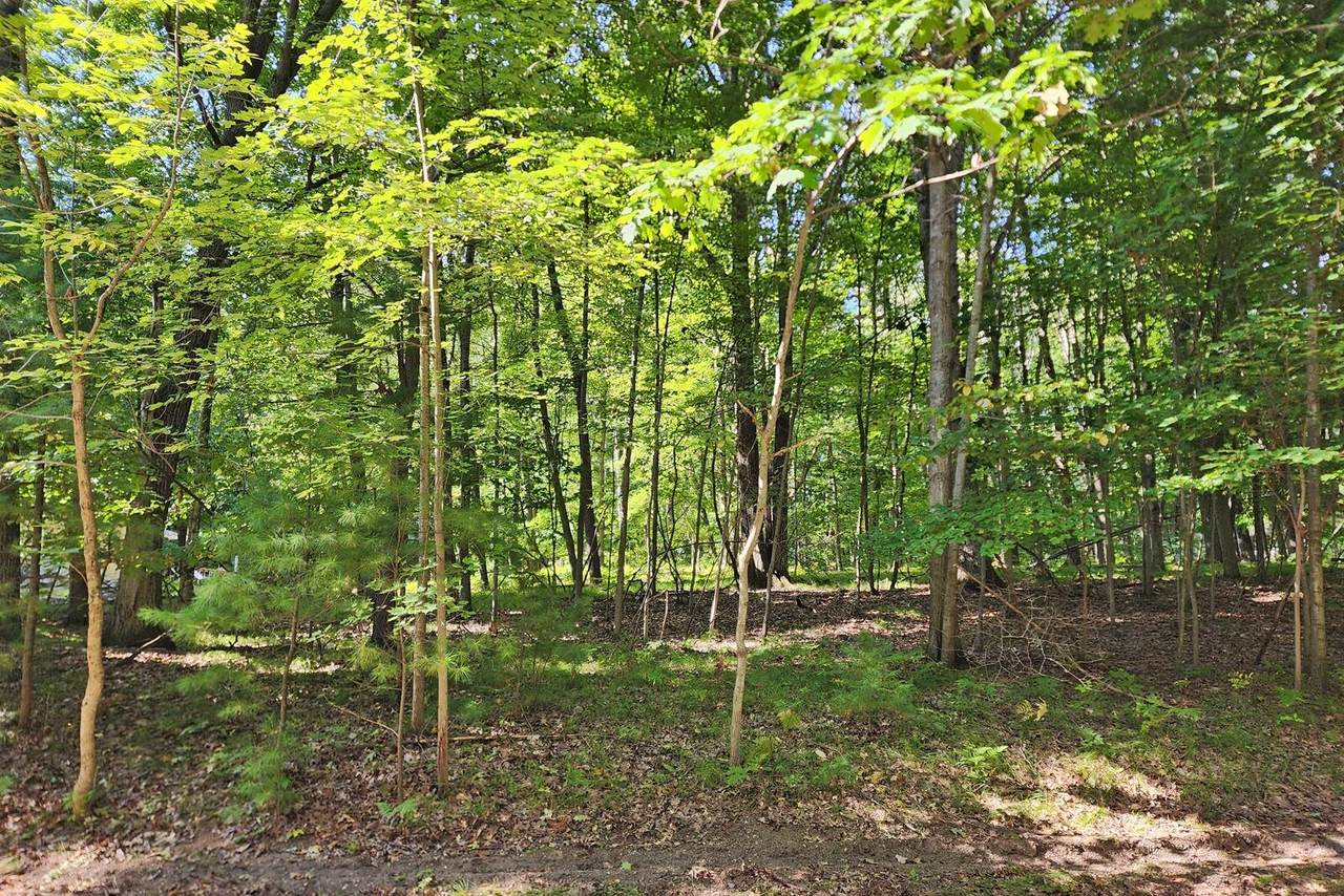 10933 Shawnee Trail - Photo 1