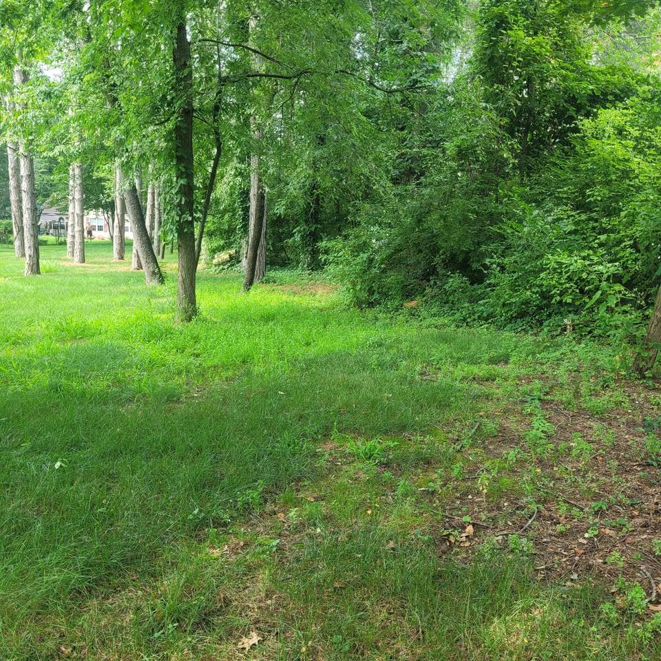 https://bt-photos.global.ssl.fastly.net/swmich/1280_boomver_1_25046506-2.jpg