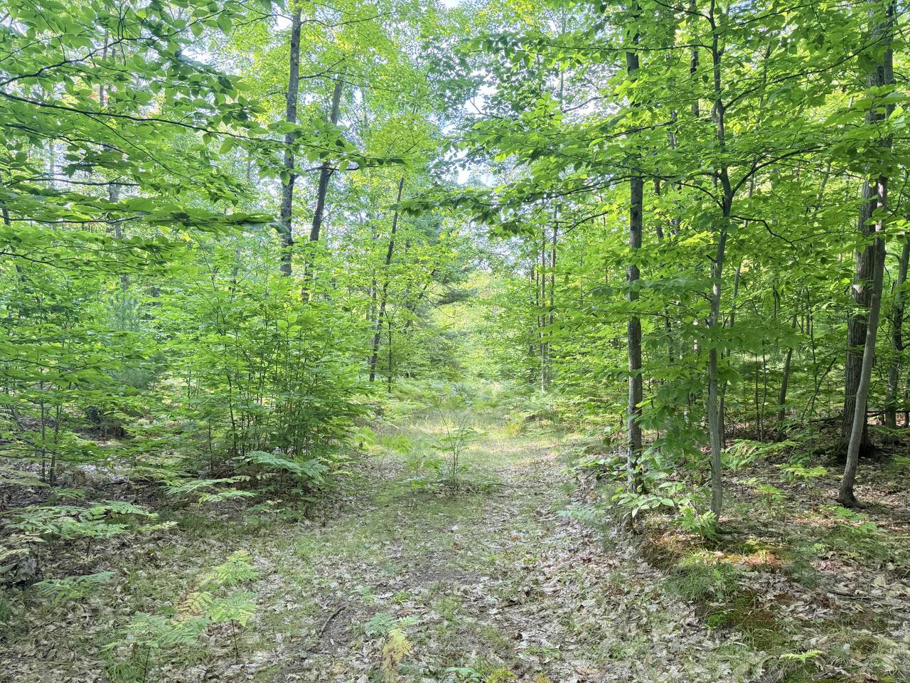 VL 3 Mile Road - Photo 1