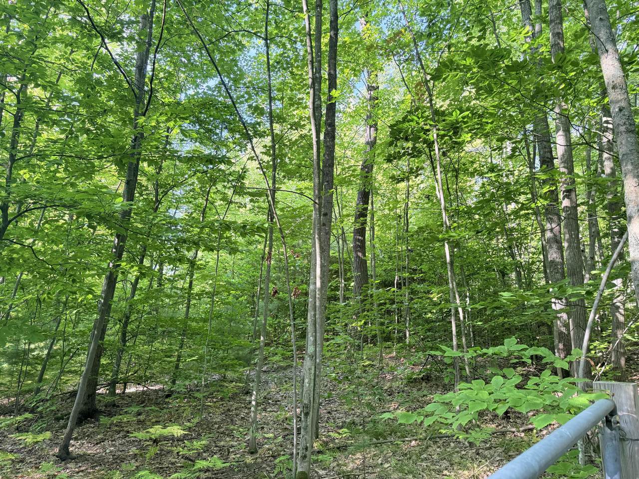 https://bt-photos.global.ssl.fastly.net/swmich/1280_boomver_1_25046614-2.jpg