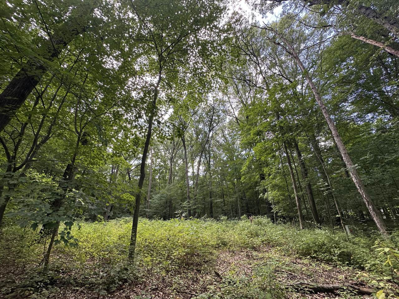 4540 Ross Drive - Photo 1