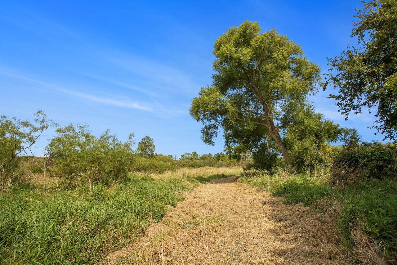  Marl Lake Road - Photo 1
