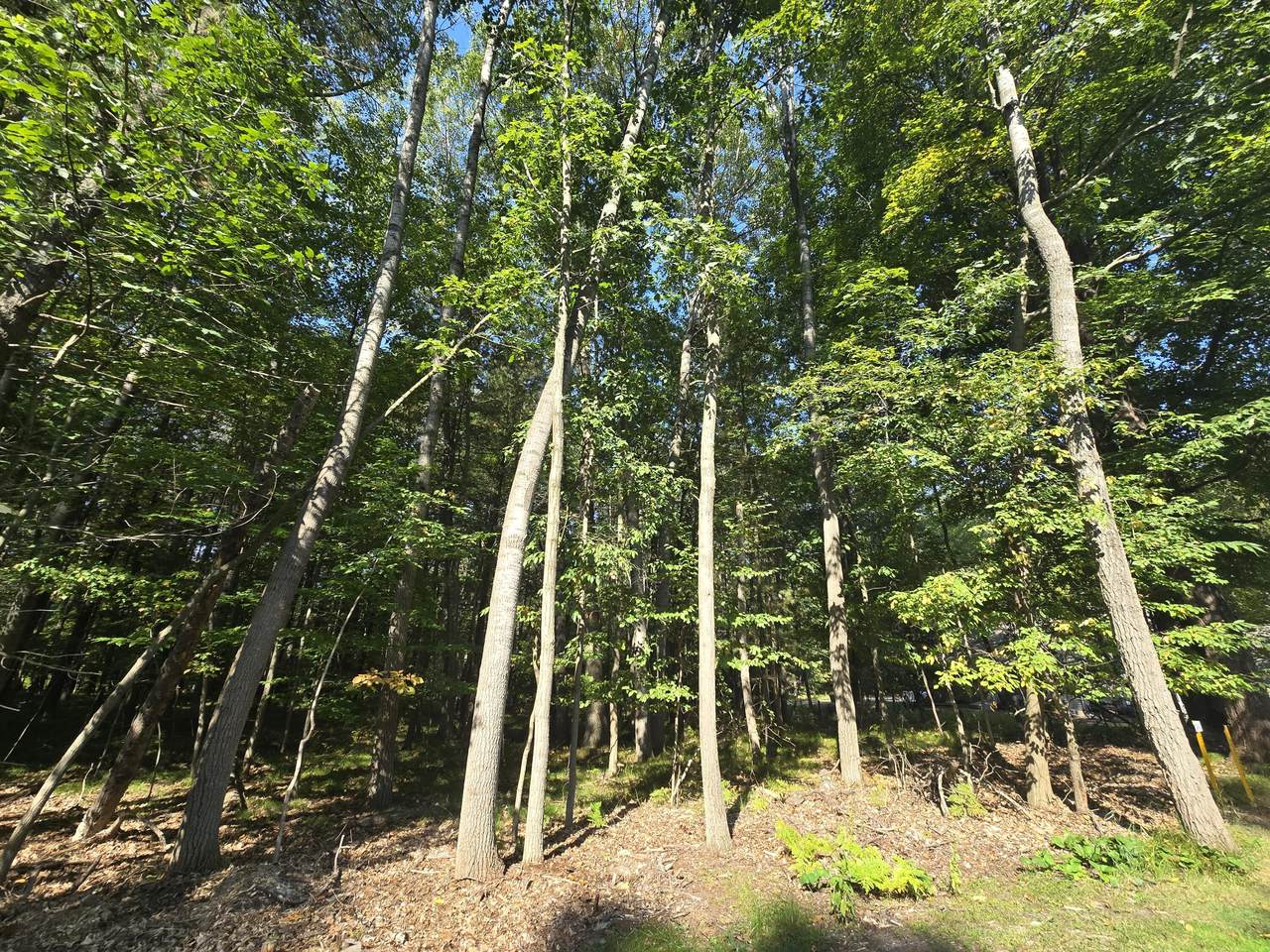 https://bt-photos.global.ssl.fastly.net/swmich/1280_boomver_1_25048187-2.jpg