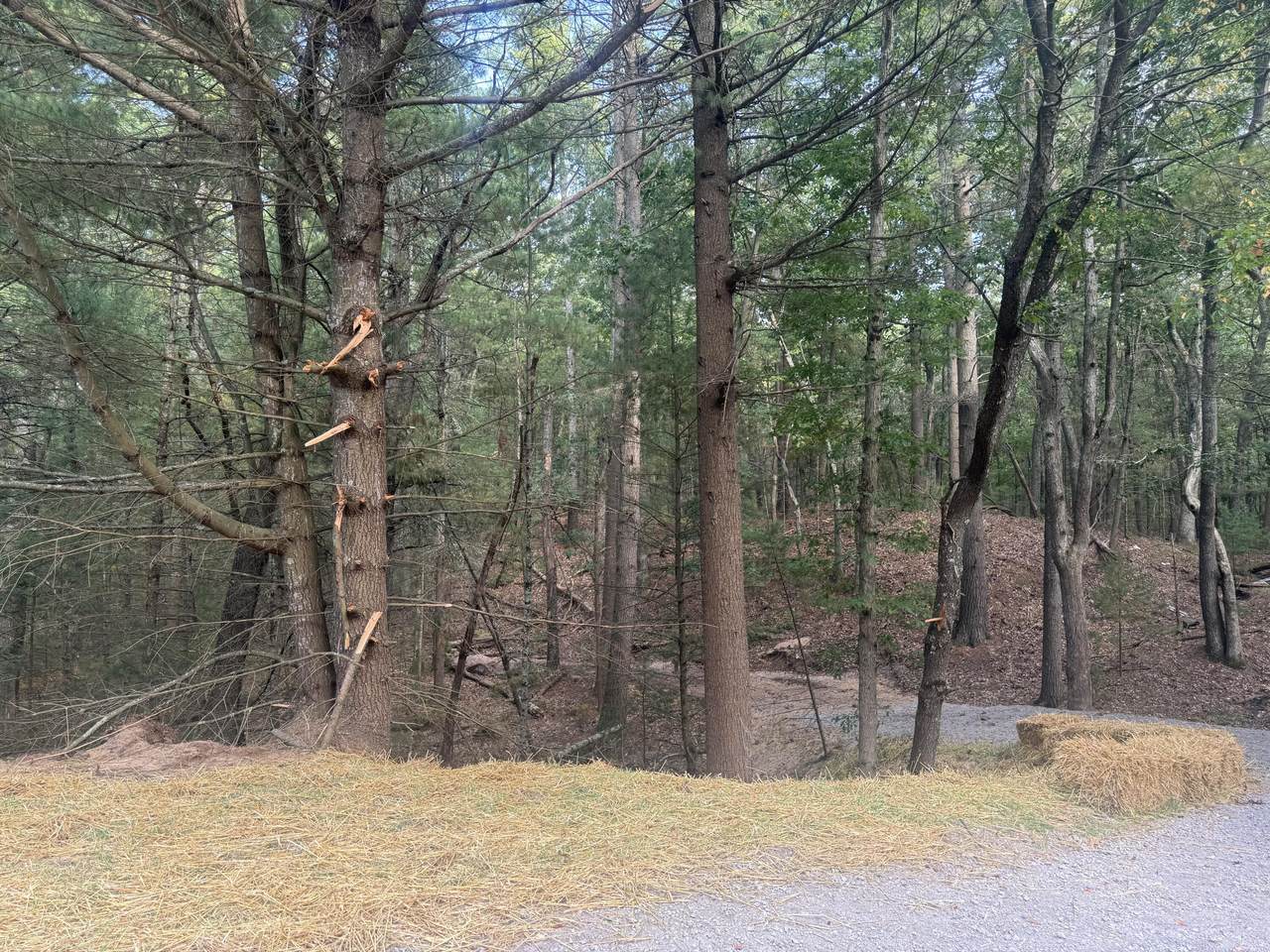 https://bt-photos.global.ssl.fastly.net/swmich/1280_boomver_1_25048494-2.jpg