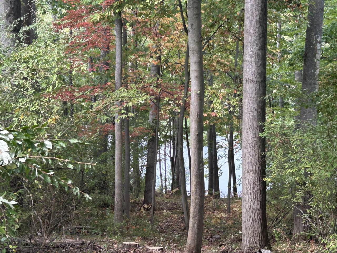 https://bt-photos.global.ssl.fastly.net/swmich/1280_boomver_1_25048556-2.jpg