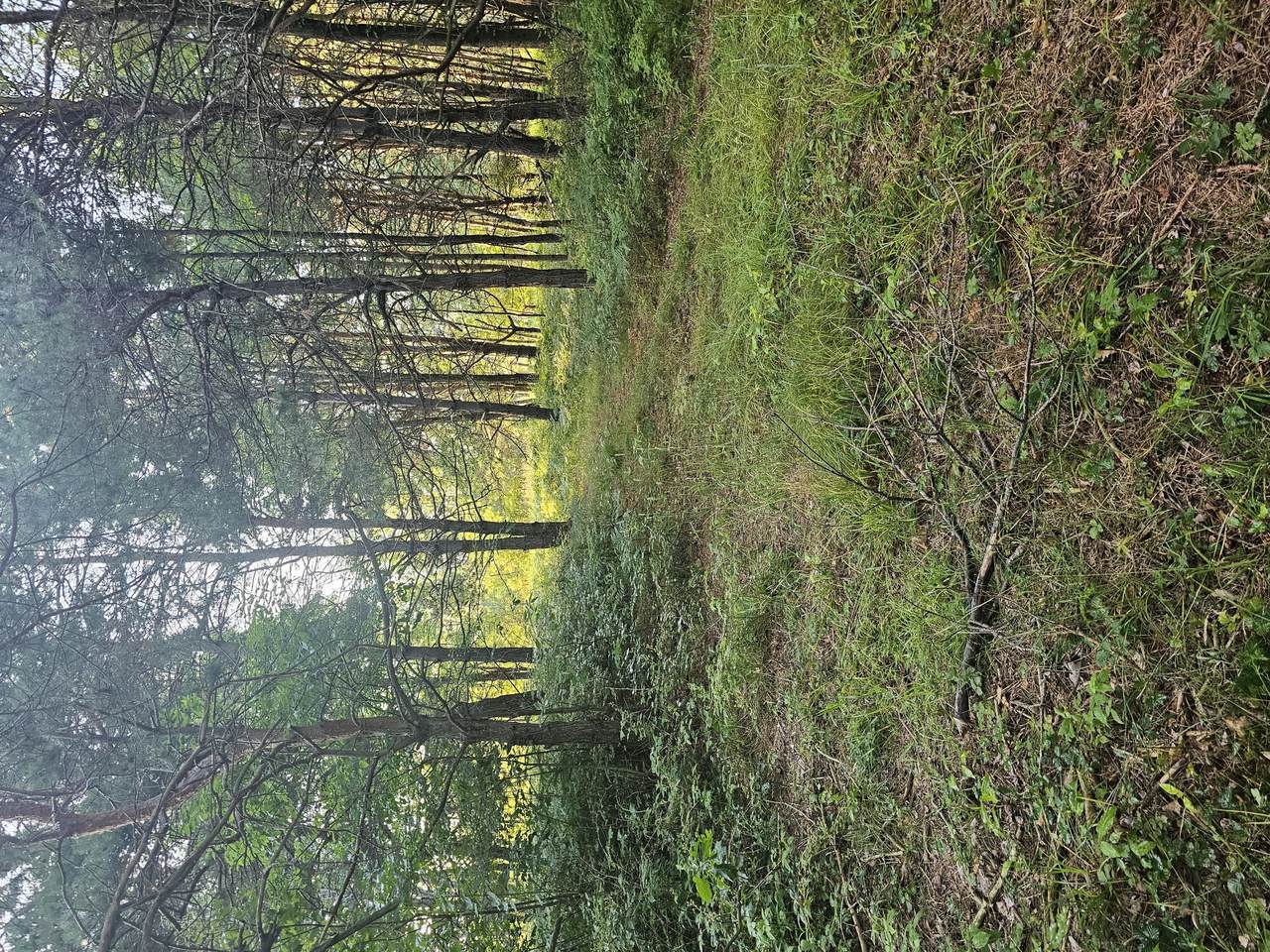 15410 Johnson Road - Photo 1