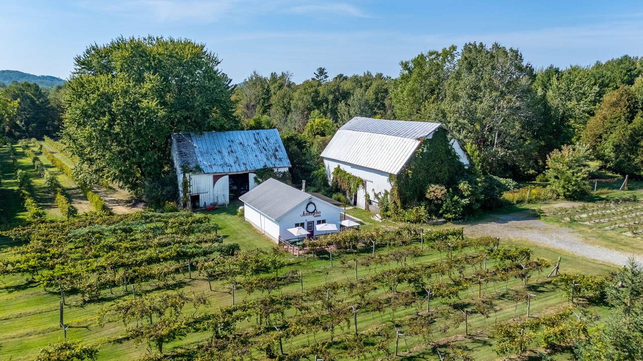 7397 Pere Marquette Highway - Photo 1