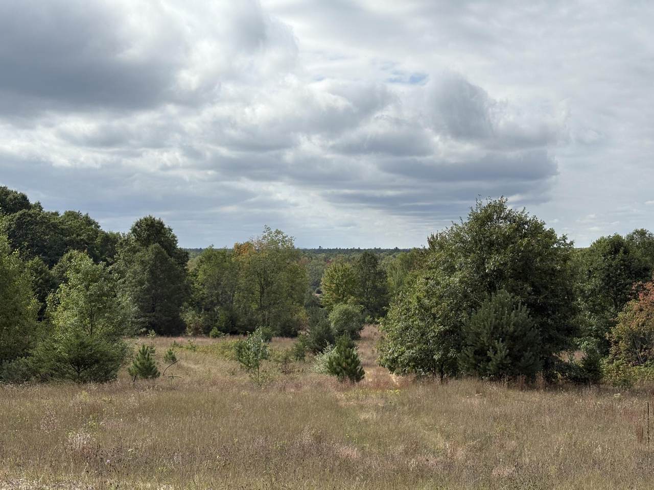 7267 Snyder Road - Photo 1