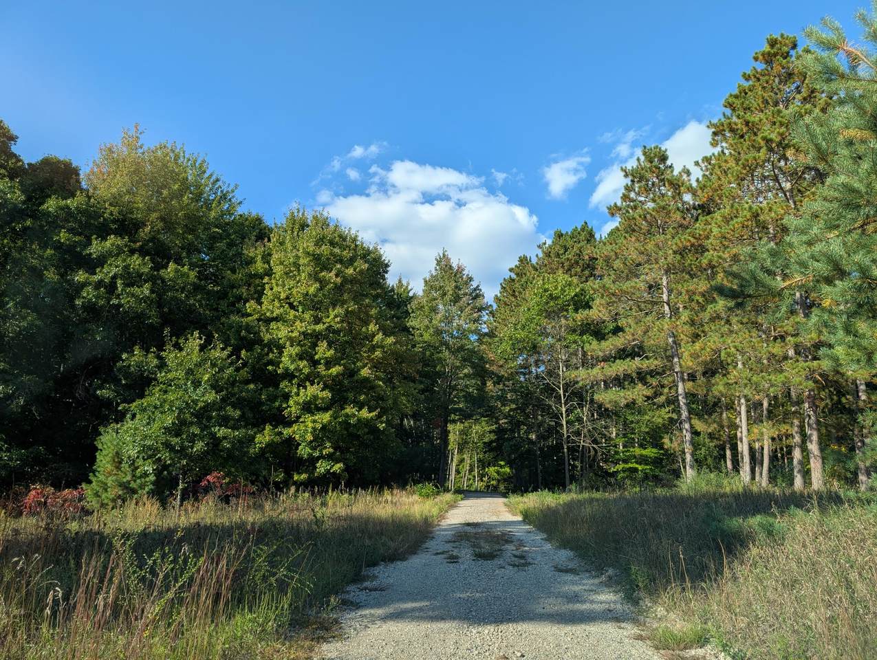 6698 Skeels Road - Photo 1