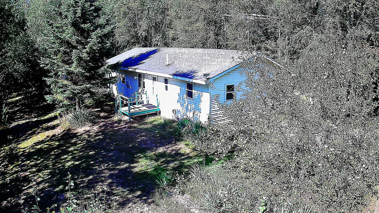 3826 40th Avenue - Photo 1