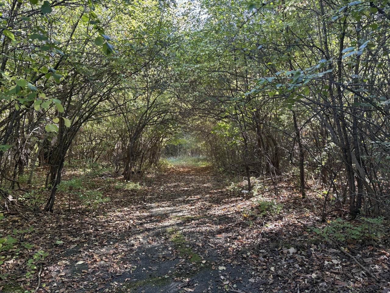 VL 40 Clinton Way - Photo 1