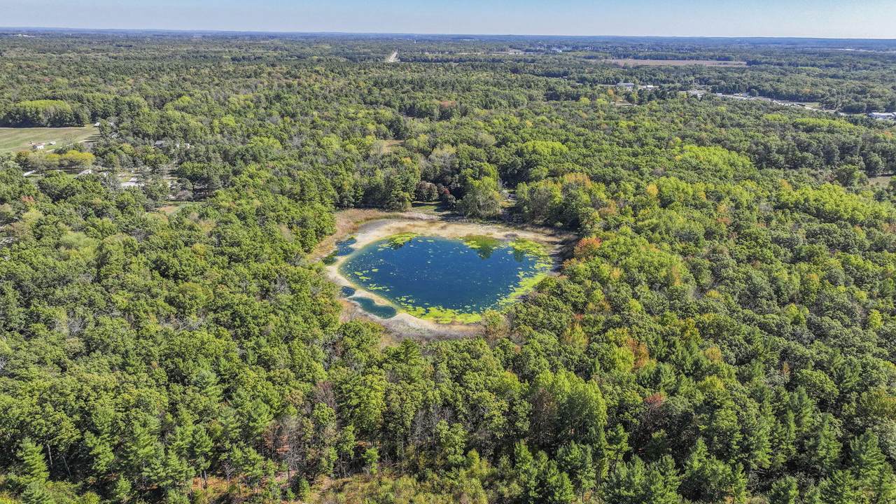 9411 N Maple Hill Rd Road - Photo 1