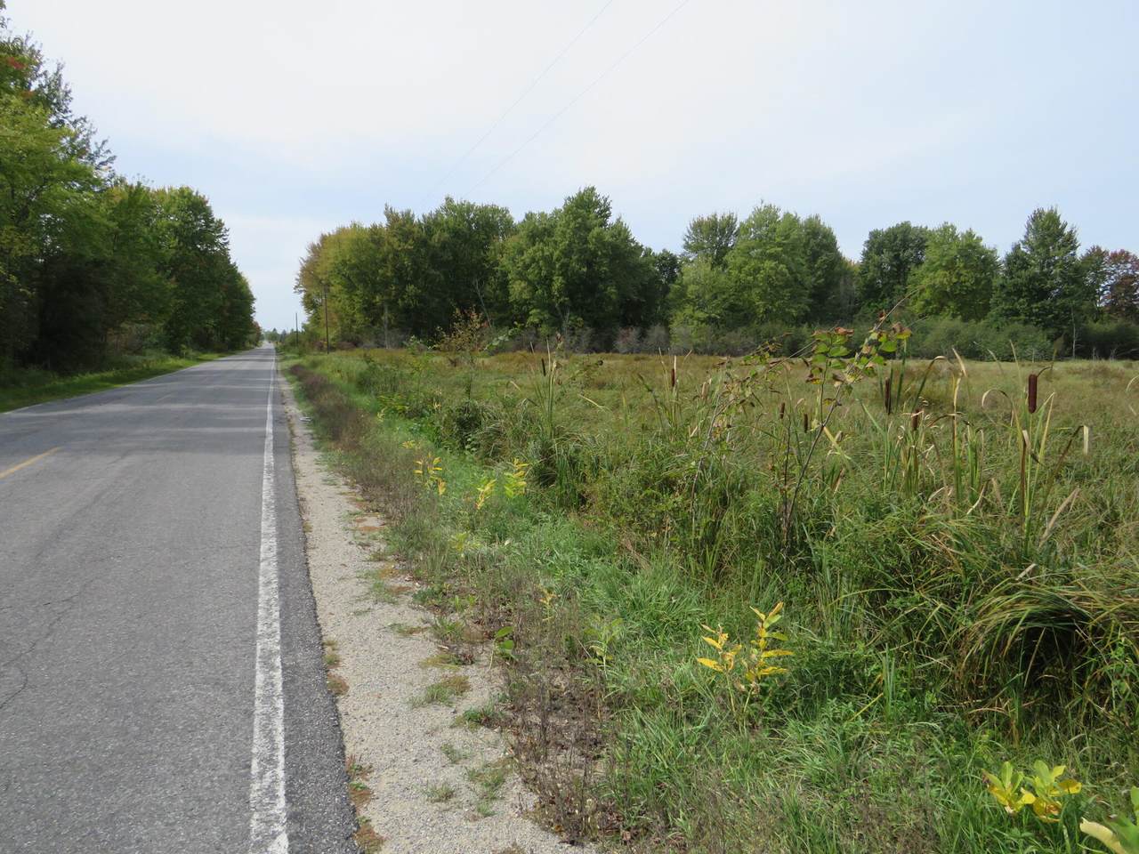 https://bt-photos.global.ssl.fastly.net/swmich/1280_boomver_1_25053144-2.jpg