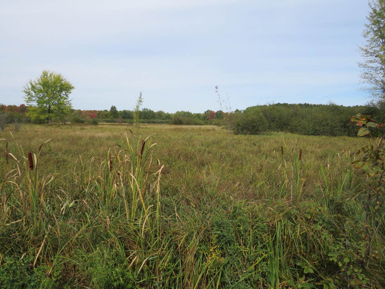 https://bt-photos.global.ssl.fastly.net/swmich/1280_boomver_1_25053144-2.jpg