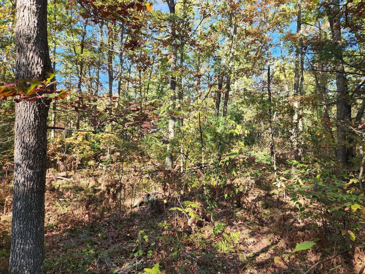 259 Baker Road - Photo 1