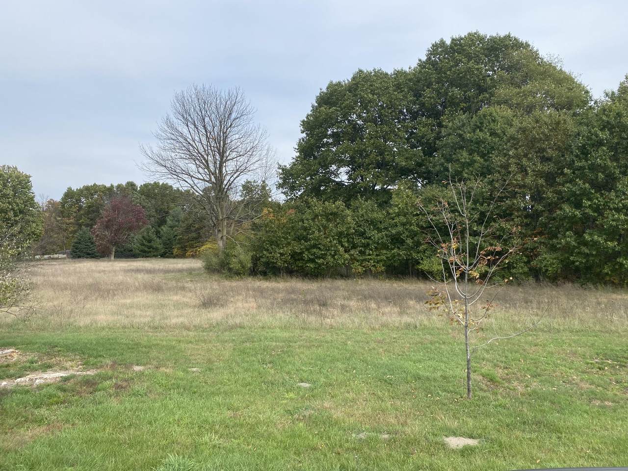 8517 Leonard Street - Photo 1