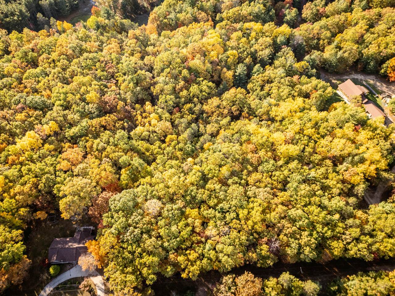  V/L Maple Road - Photo 1