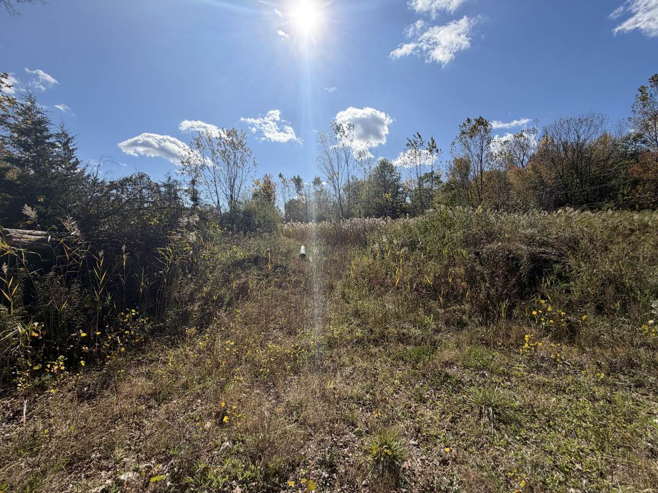 12608 Rawsonville Road - Photo 1