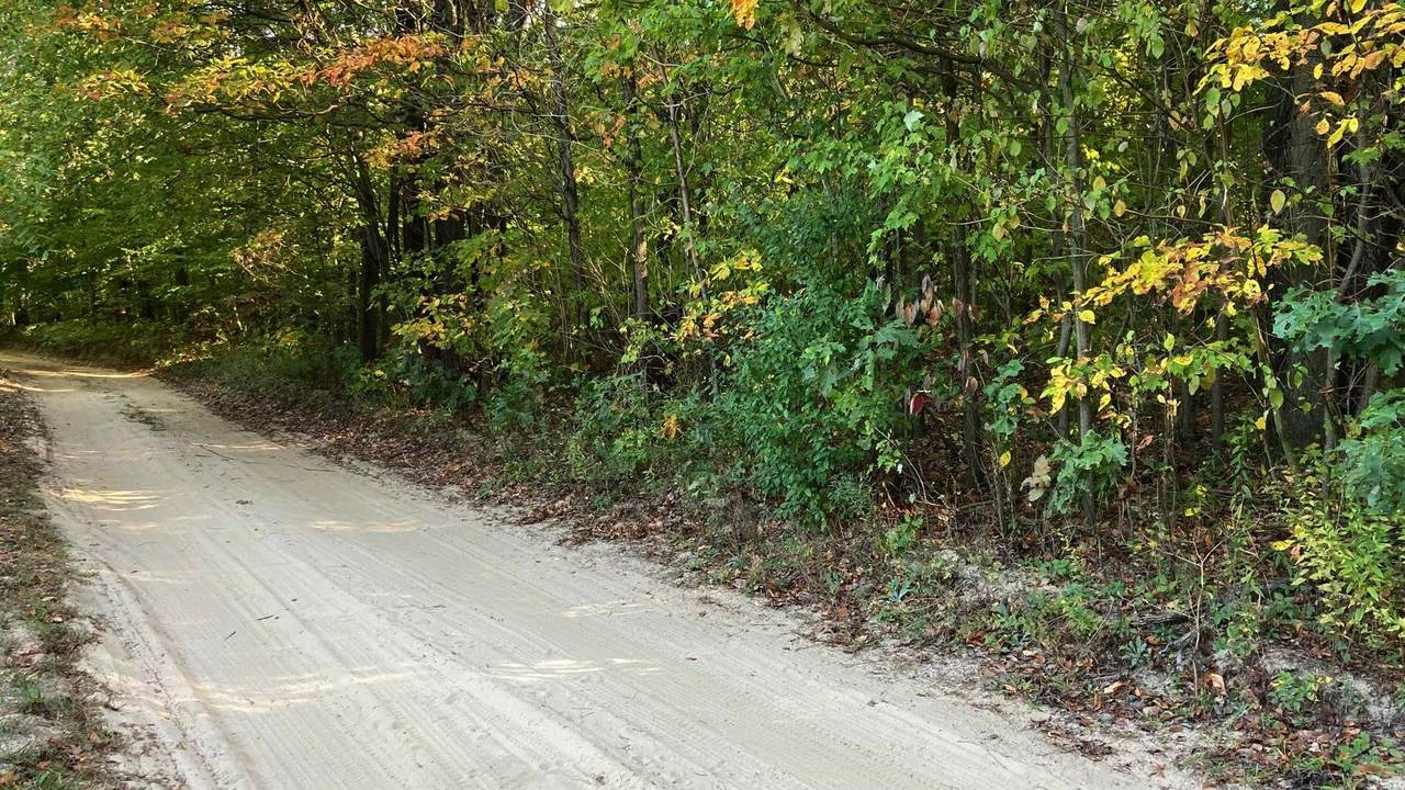 VL 8th Avenue - Photo 1