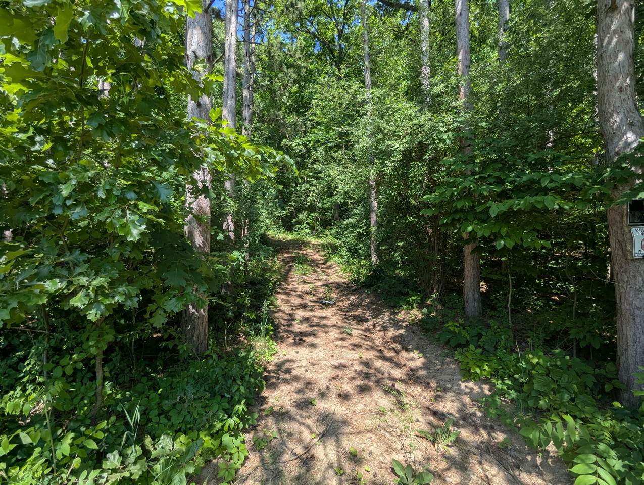 V/L North Avenue - Photo 1