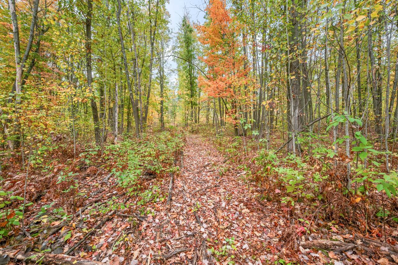 13540 8 Mile Rd - Photo 1