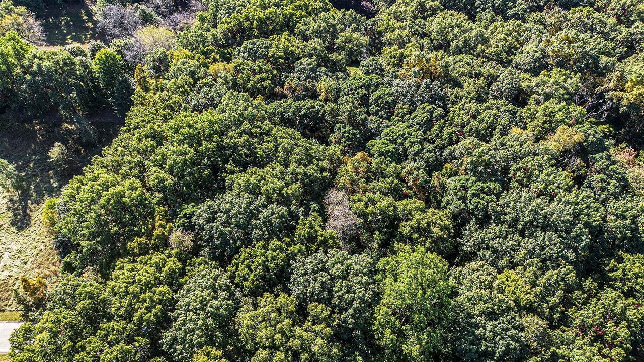 4520 Ross Drive - Photo 1