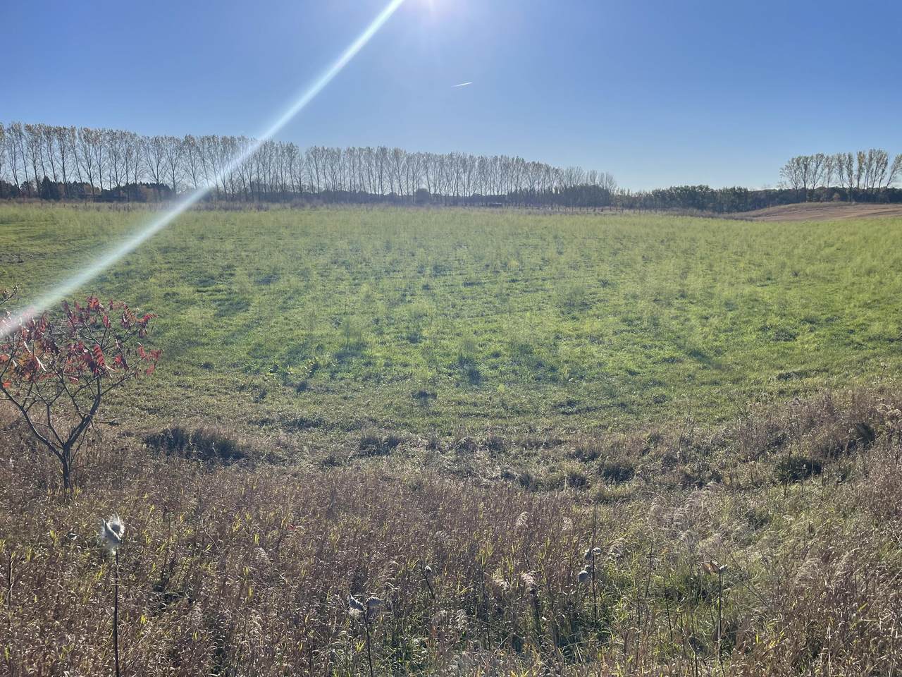 VL 28th / Shelby Rd - Photo 1