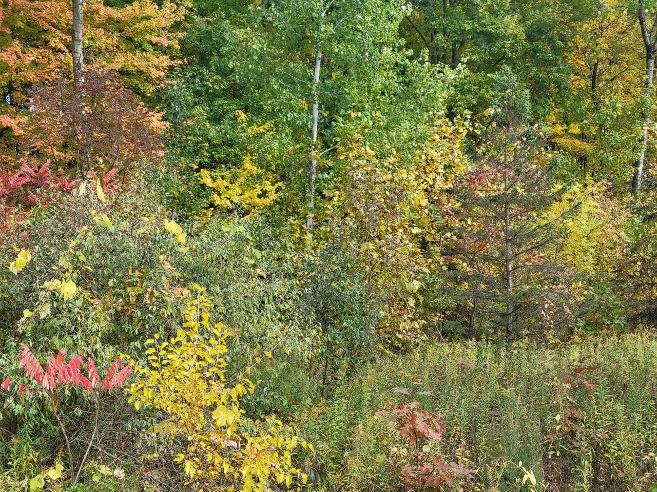 74066 Ridgeway Drive - Photo 1