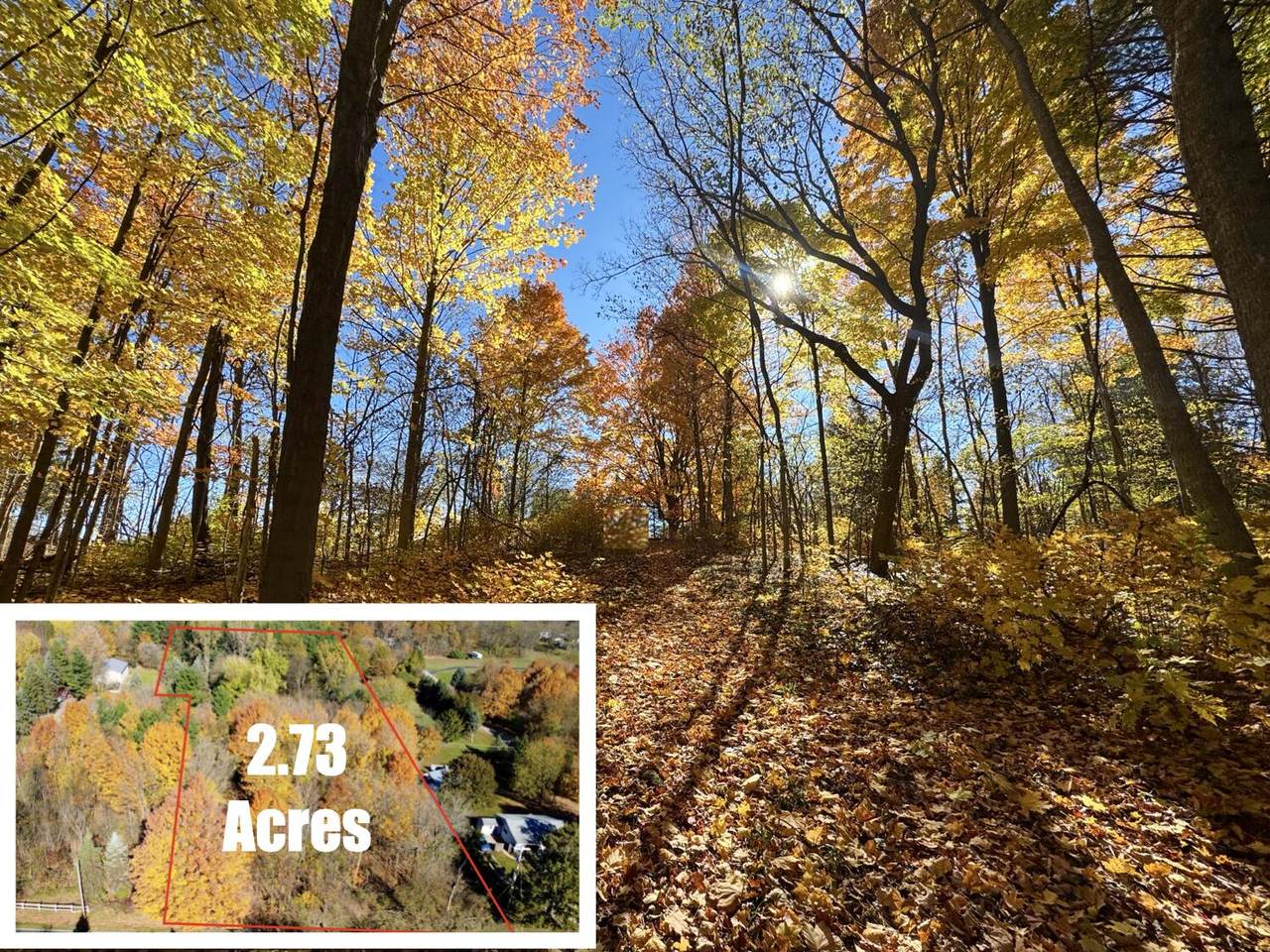 6881 84th Street - Photo 1