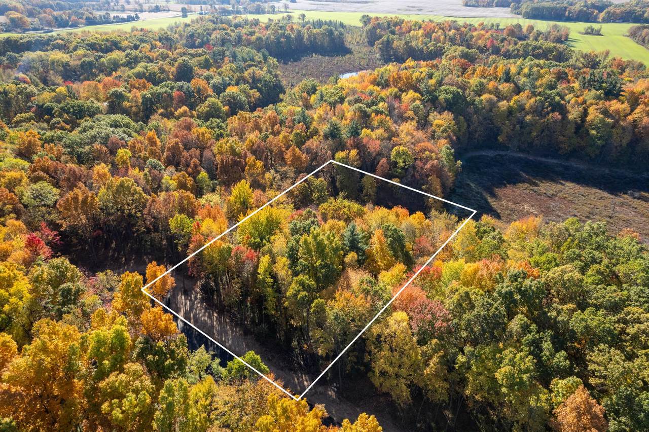 10790 14 Mile Road - Photo 1