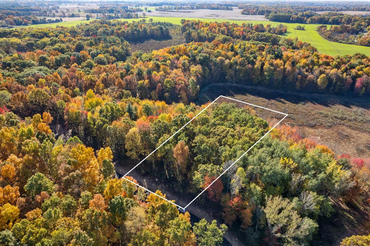 10790 14 Mile Road - Photo 1