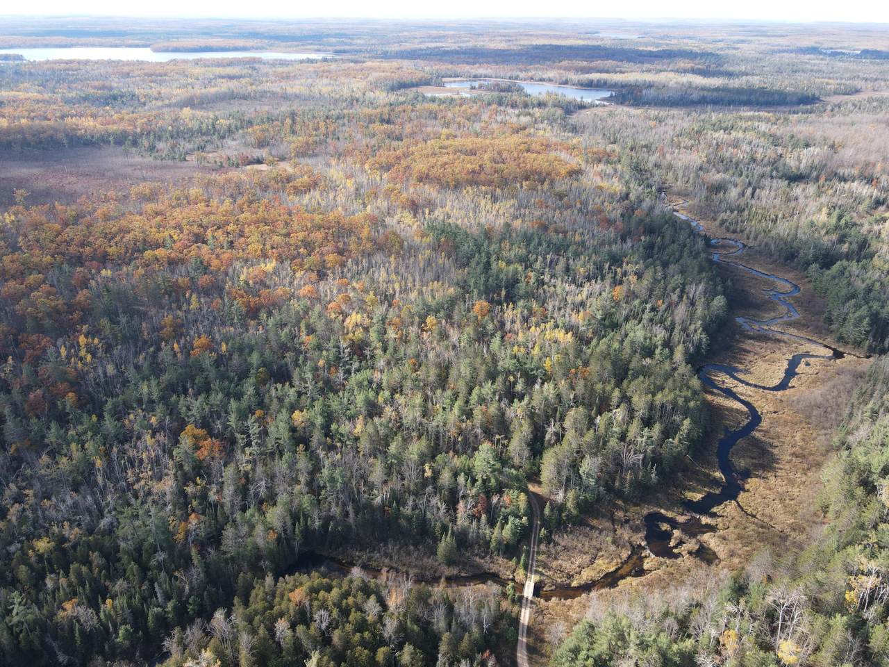 22006 Bowden Trail - Photo 1