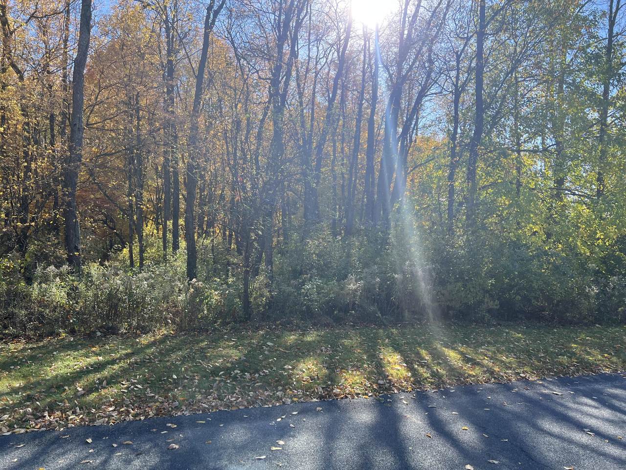 9122 Richland Woods Drive - Photo 1