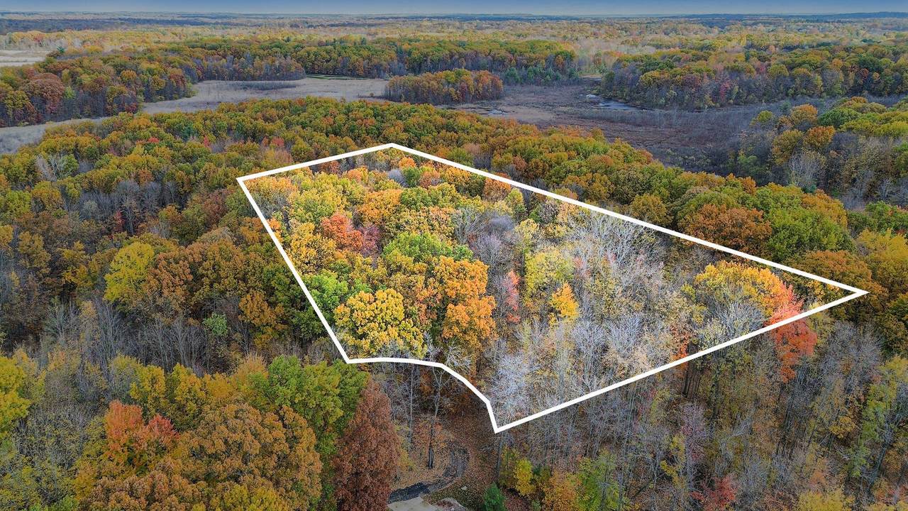 36166 Maier Street - Photo 1