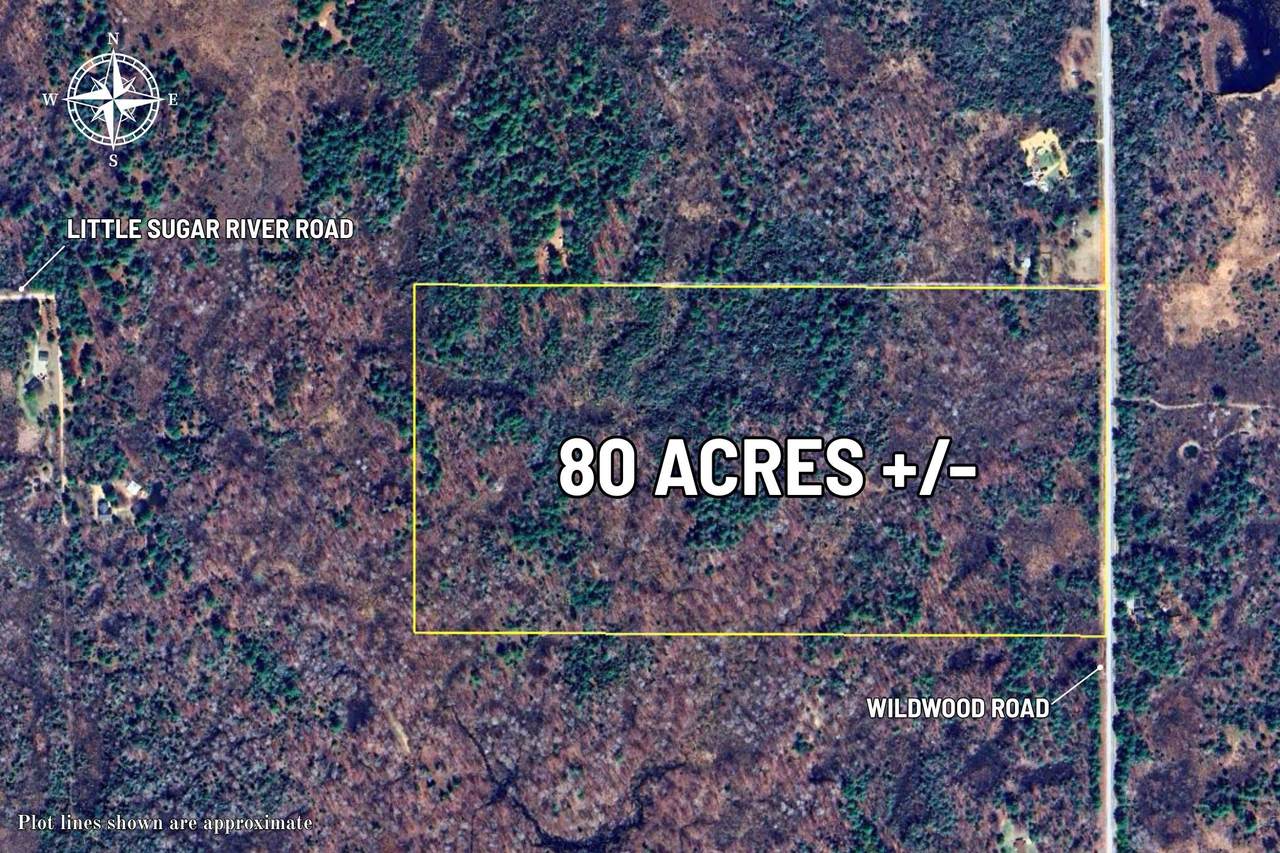 VL Wildwood Road - Photo 1