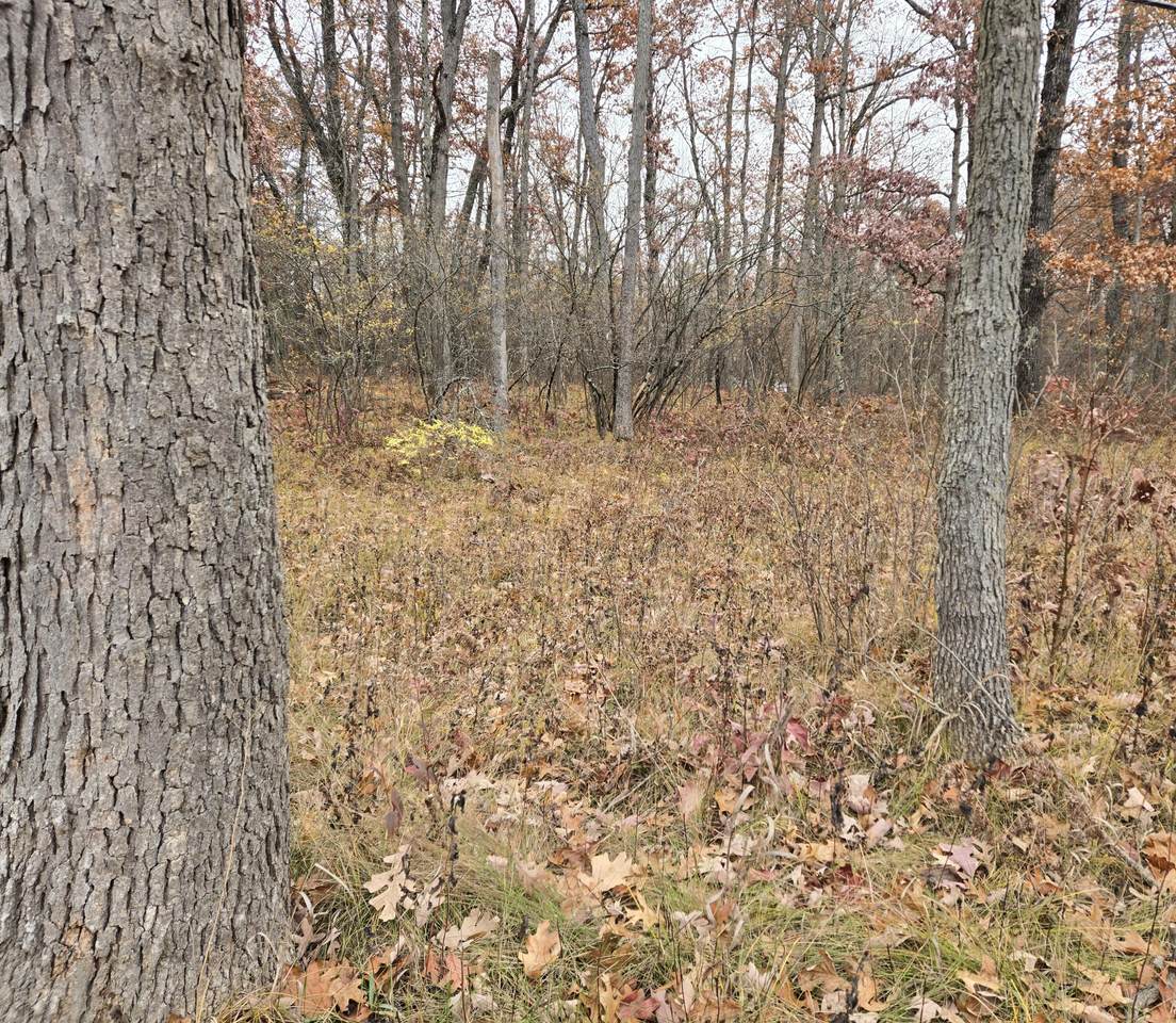 V/L Woodbridge Drive - Photo 1