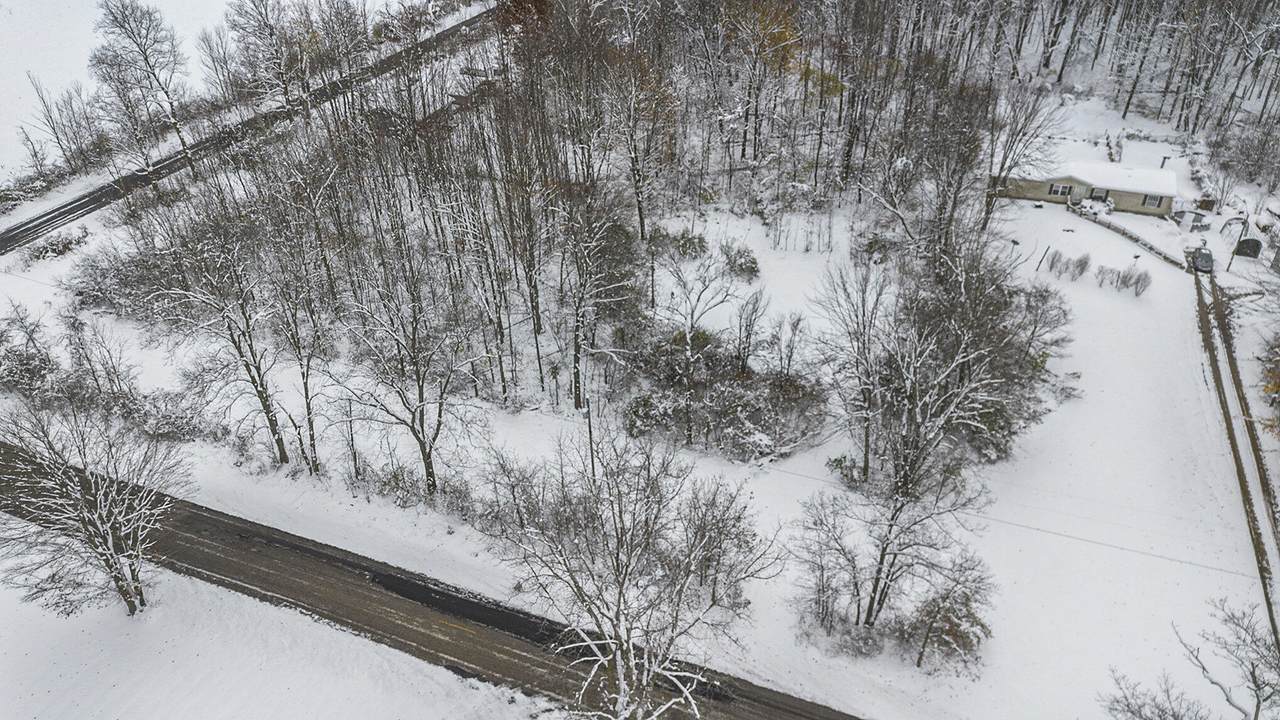 17285 Williamsville Street - Photo 1